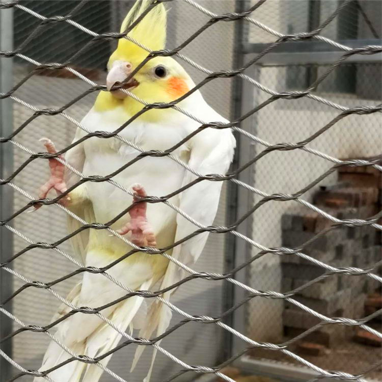 Applications of Rope Mesh