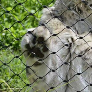Rope Mesh for Zoo Enclosure