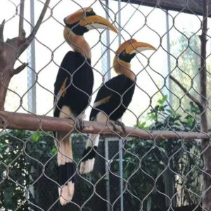 Bird Aviary Stainless Steel Rope Mesh