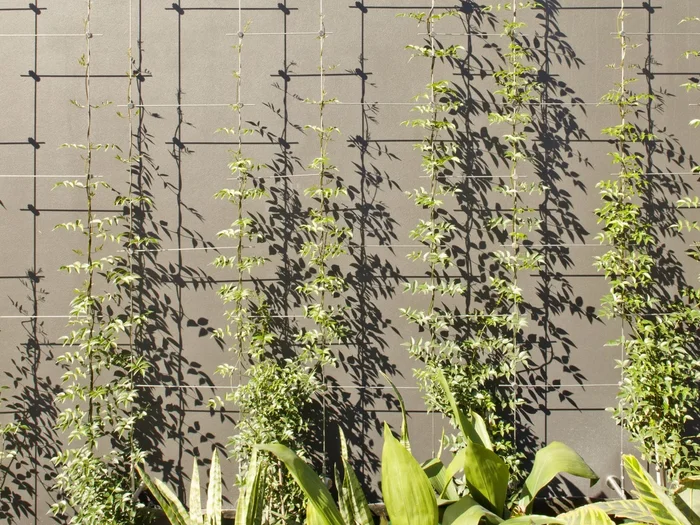Minimalist stainless steel rope mesh trellis wall for residential climbing plants