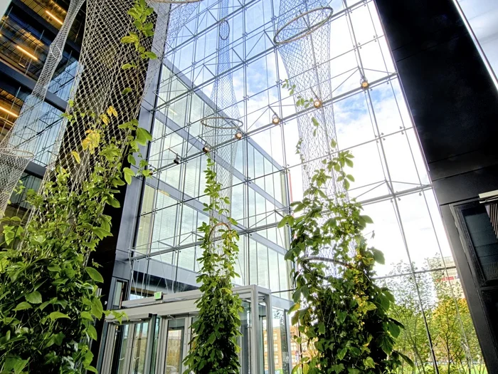 Suspended stainless steel rope mesh green wall for commercial building atrium facade