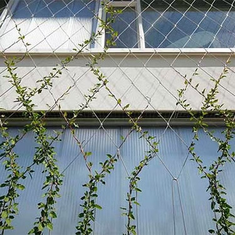 Rope Mesh for Green Wall