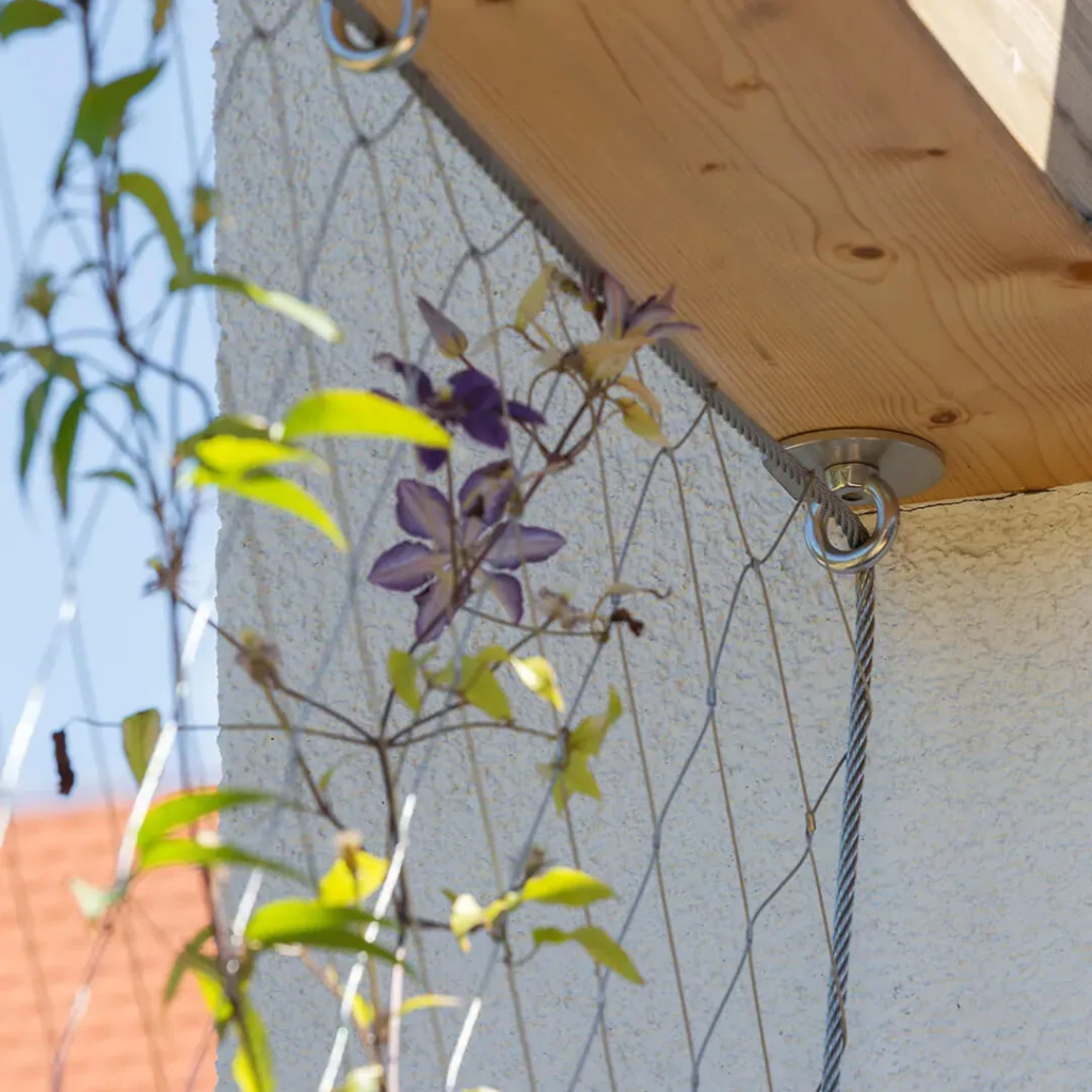 Stainless Steel Cable Mesh For Plant Climbing