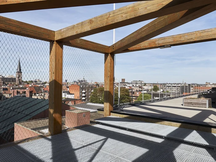 News Article: Key Points for Rope Mesh Application in Public‑Access Safety Projects