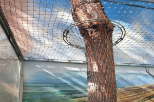 News Article: Tree‑Compatible Tensile Stainless Mesh Zoo Habitat Custom Project