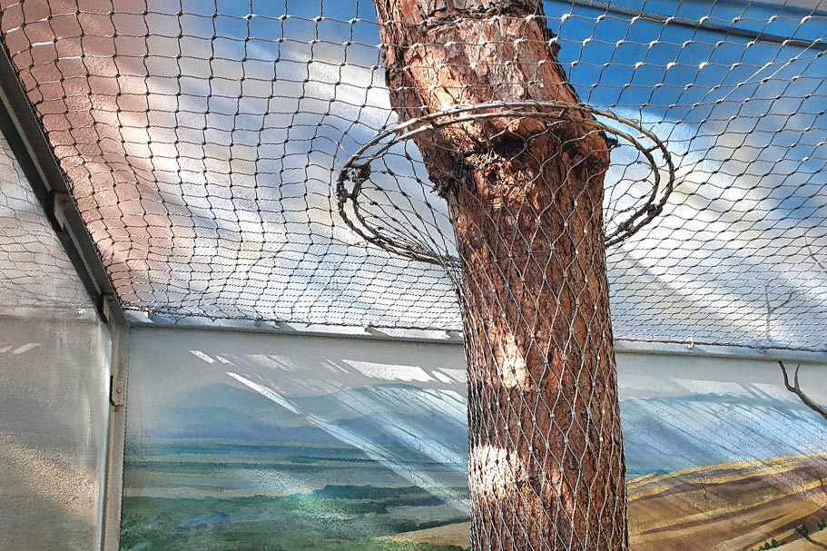 News Article: Tree‑Compatible Tensile Stainless Mesh Zoo Habitat Custom Project