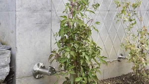 Large suspended stainless steel rope mesh vertical garden for office courtyard